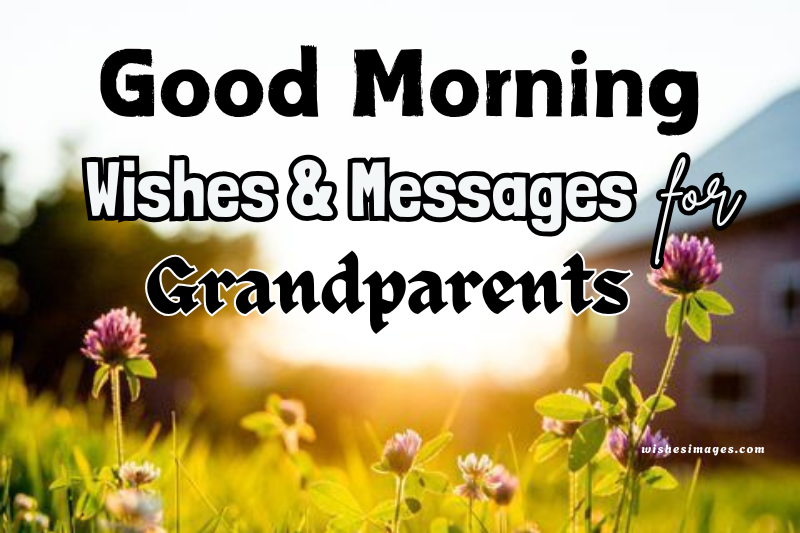 200+ Good Morning Wishes for Grandparents to Make Their Day Special