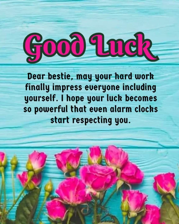 hilarious good luck wishes images for best friend