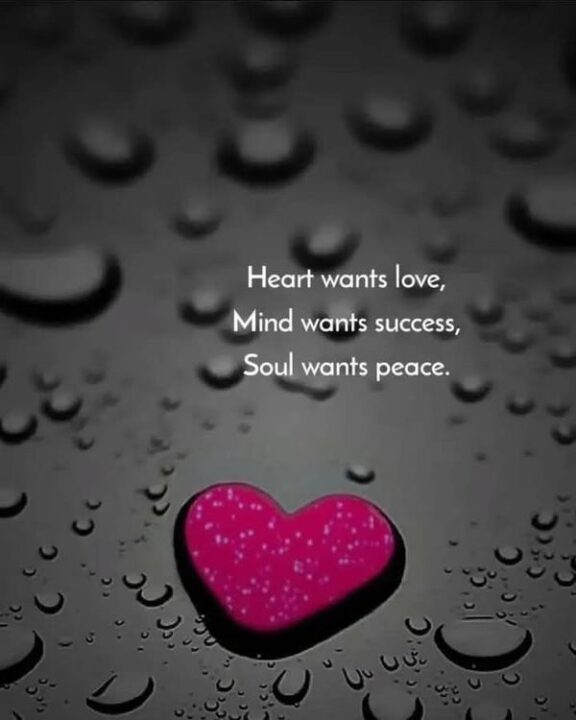 love dp images for whatsapp