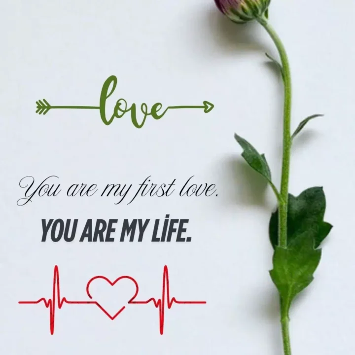 Romantic Love Quote WhatsApp DP