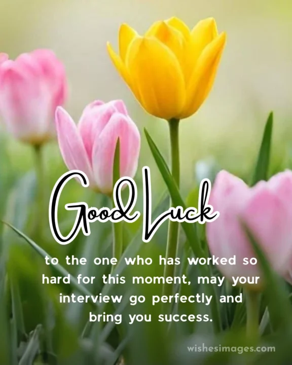 all the best wishes for interview images