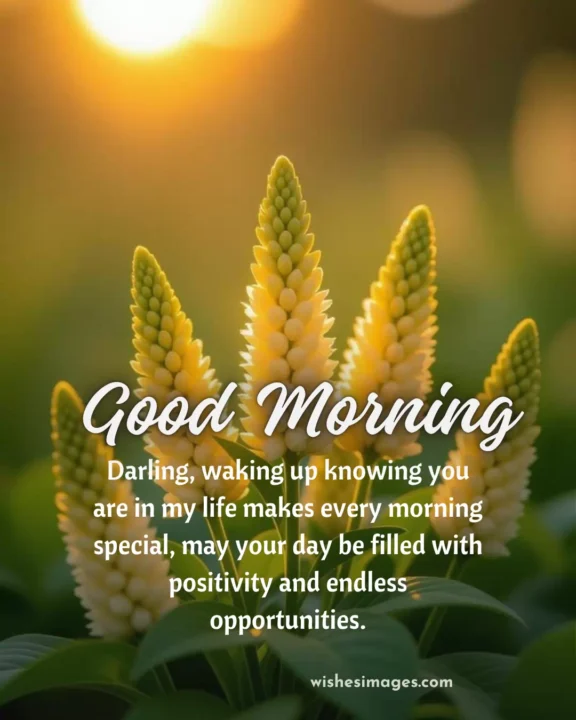 special good morning wishes for him with romantic image