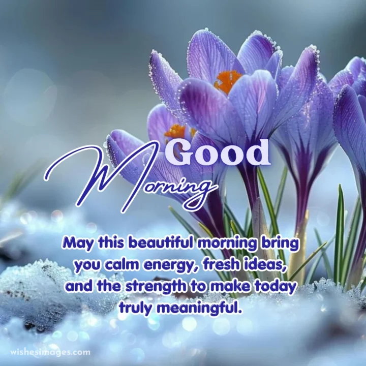 Good Morning Quotes for Whatsapp