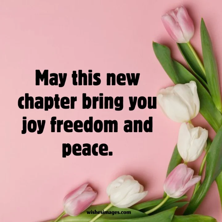 Professional Retirement Wishes for Government Employees