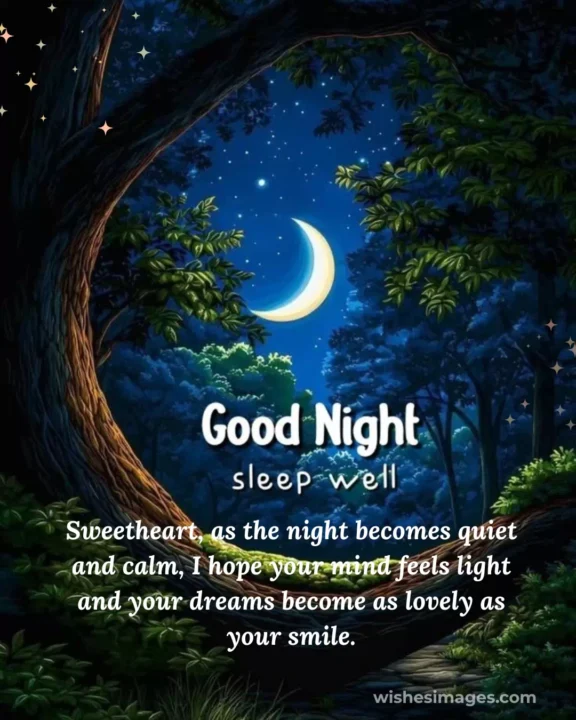 Good Night Wishes for Crush to Make Them Smile