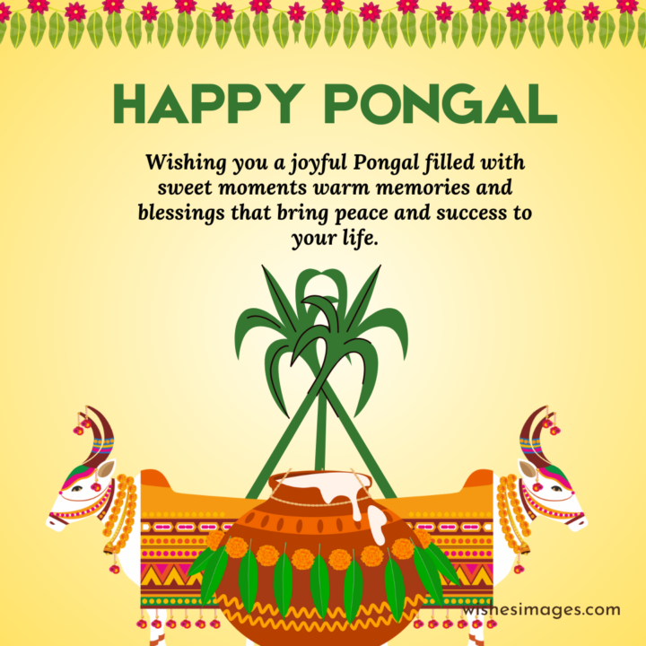 happy pongal wishes