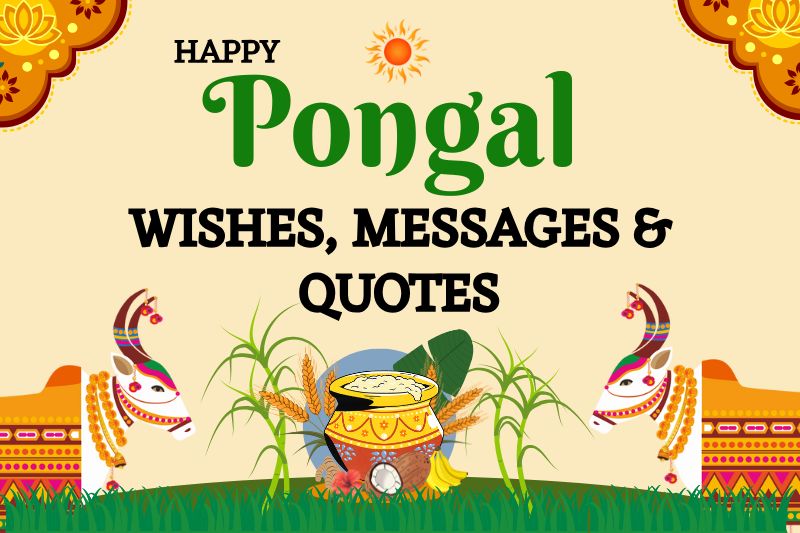 150+ Happy Pongal Wishes, Messages & Quotes for WhatsApp and Social Media