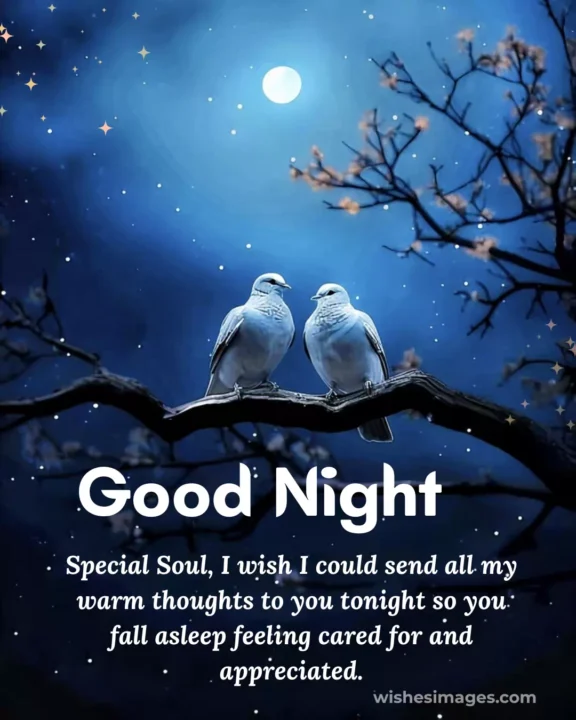 Heart Touching Good Night Messages for Crush