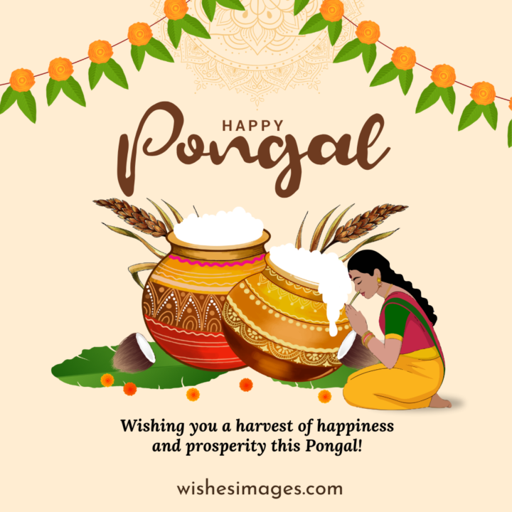 happy pongal Greetings 