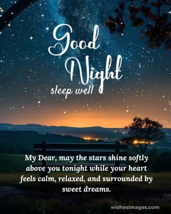 Romantic good night texts for crush