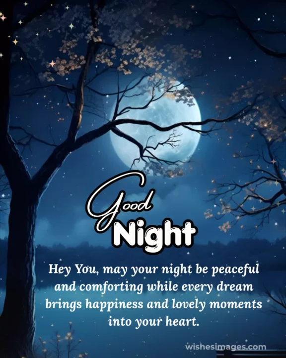 Sweet Good Night Messages for Crush