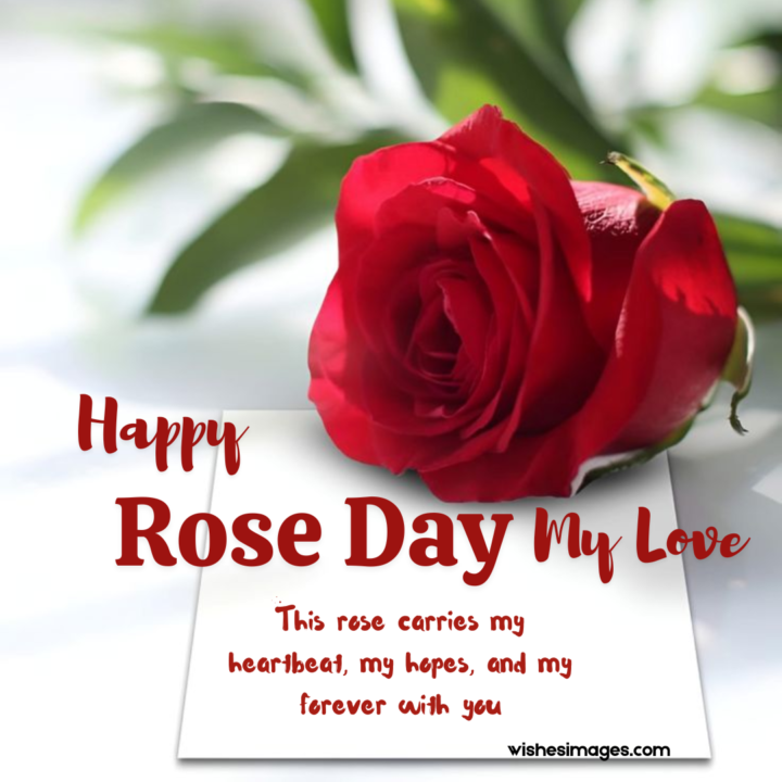 Beautiful Happy Rose Day wishes images