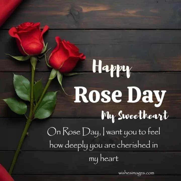 romantic rose day wishes images for lover