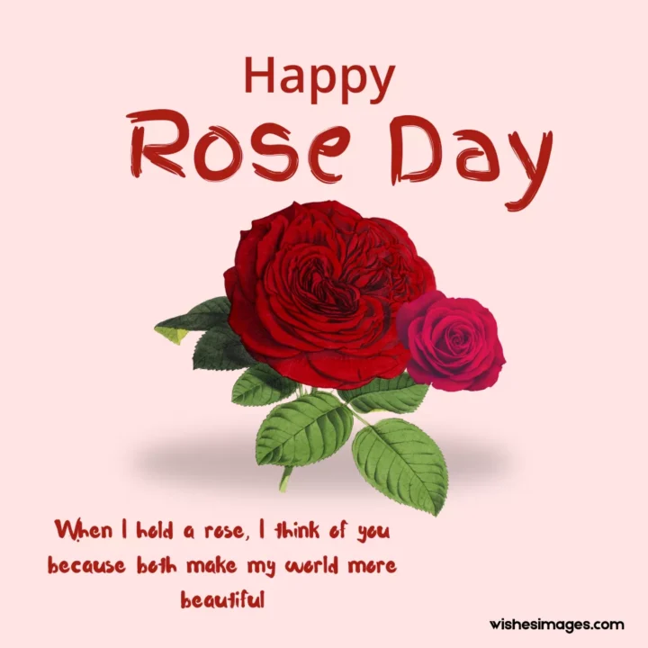 romantic rose day wishes images