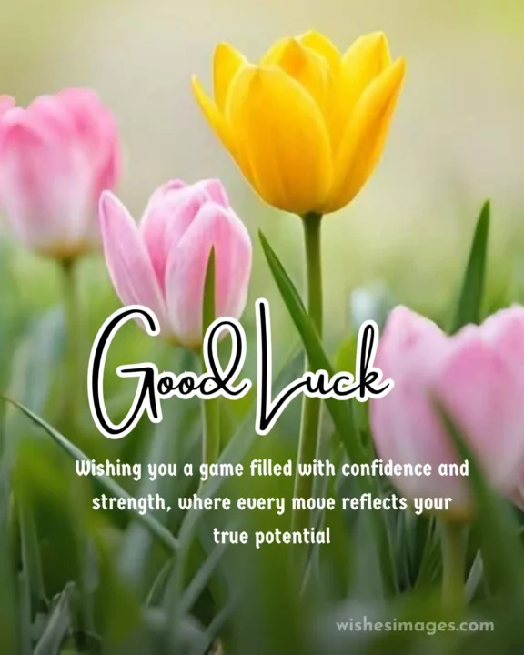 good luck wishes for athletes and sports players