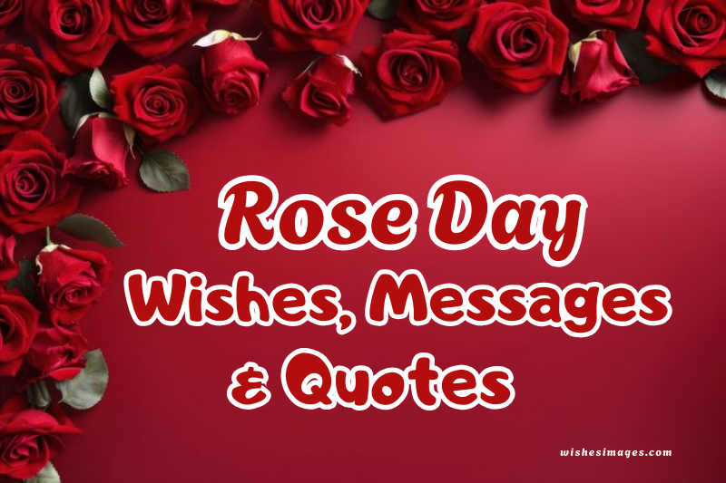 200+ Happy Rose Day Wishes, Messages & Quotes for Love, Friends and Couples