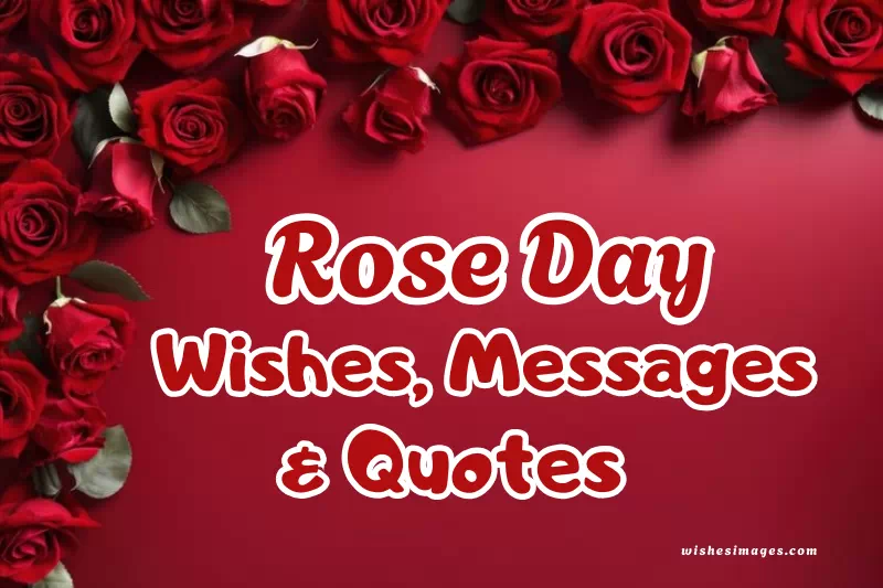 200+ Happy Rose Day Wishes, Messages & Quotes for Love, Friends & Couples