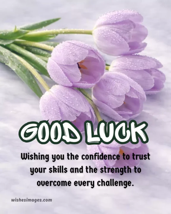 inspiring sports wishes for players and teams