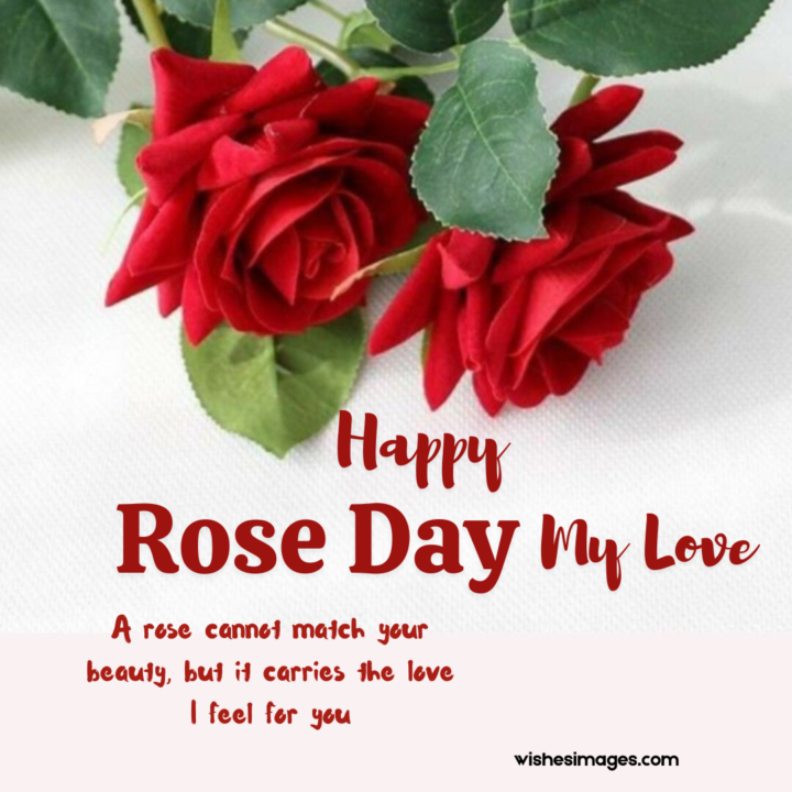 Happy Rose Day Wishes for Wife
