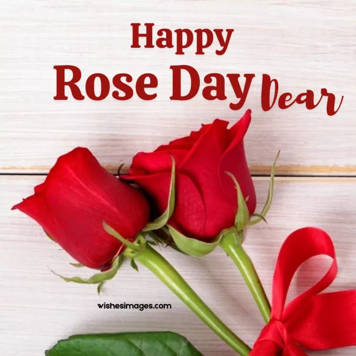 Romantic Happy Rose Day Wishes images