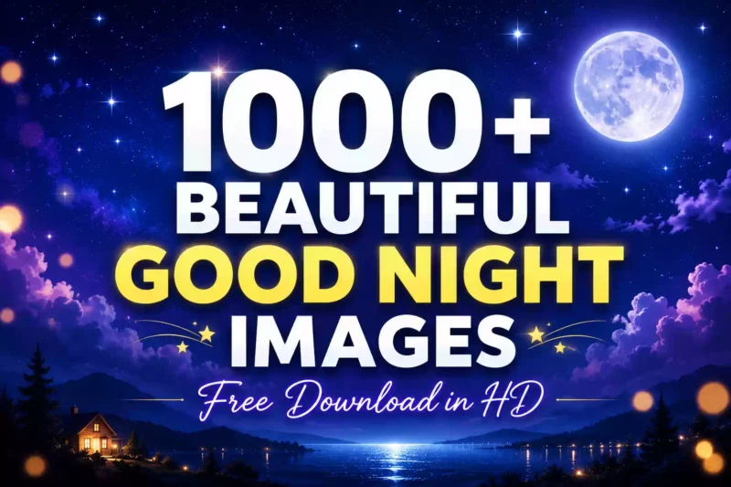 1000+ Beautiful Good Night Images Free Download in HD