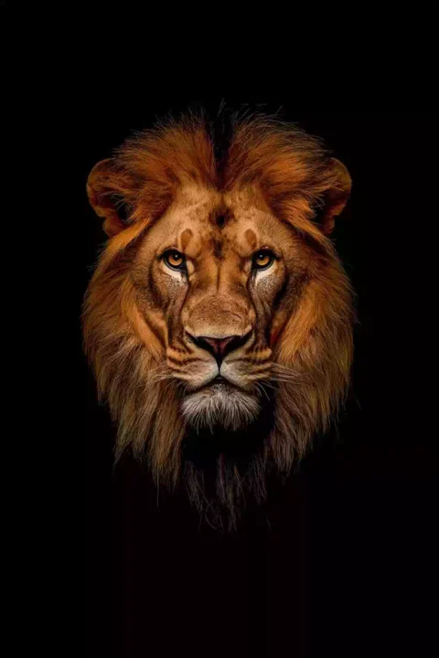 Latest Angry DP Images Free Download
