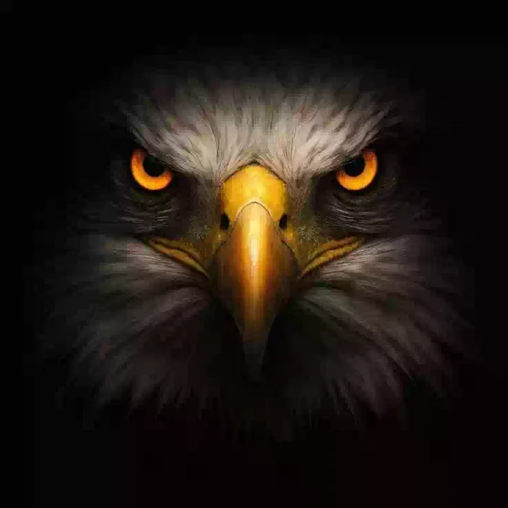 Dark Aesthetic Angry DP Images